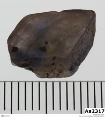 Foto von Korund (Saphir) (NHMW-MIN-Aa2317)